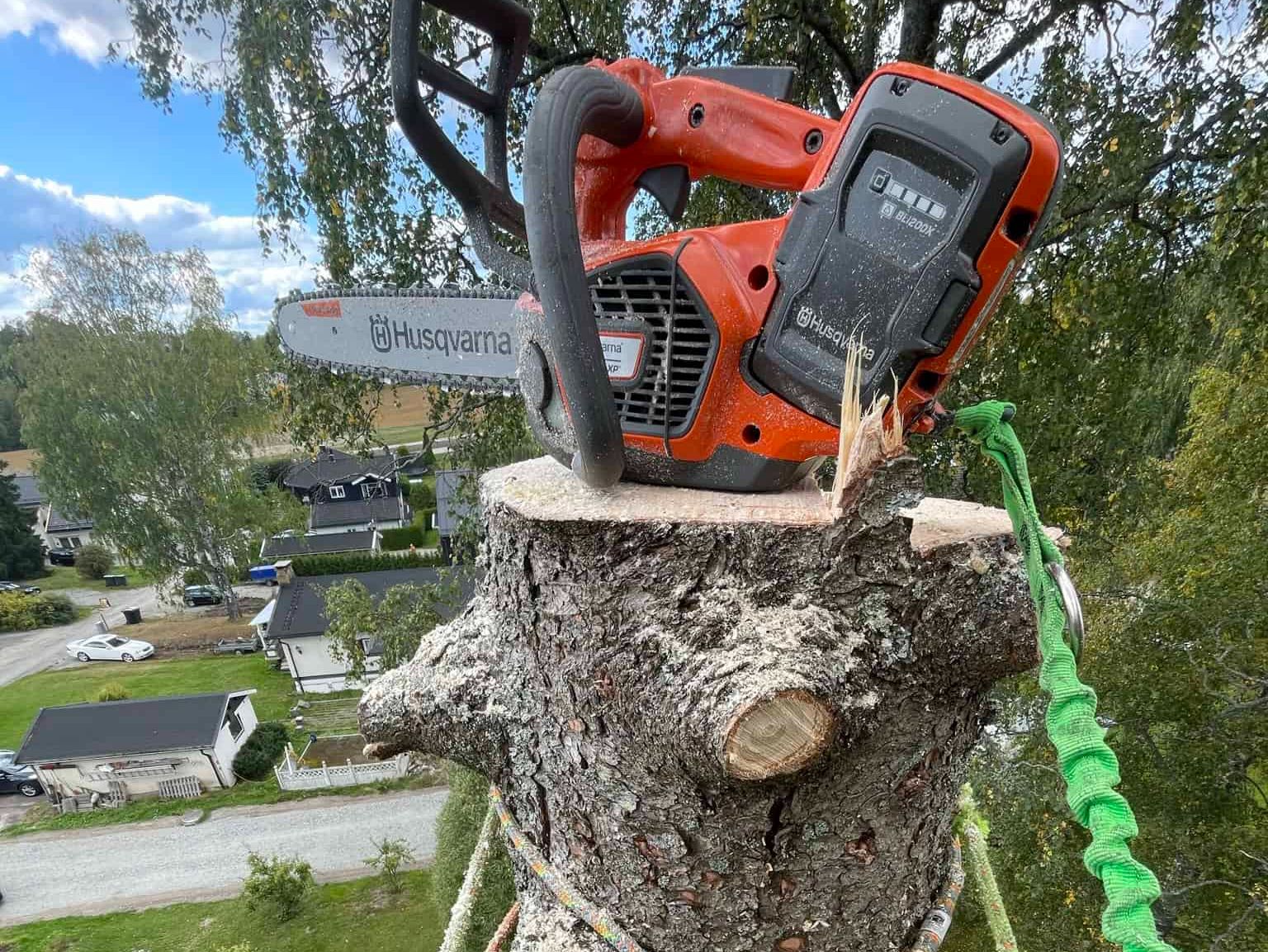 Utsikt fra tretopp med klatreutstyr og motorsag festet til toppen av stammen.
