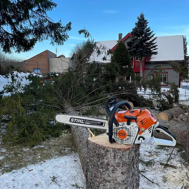 Motorsag plassert på nykappet trestamme foran hus i snødekt hage.