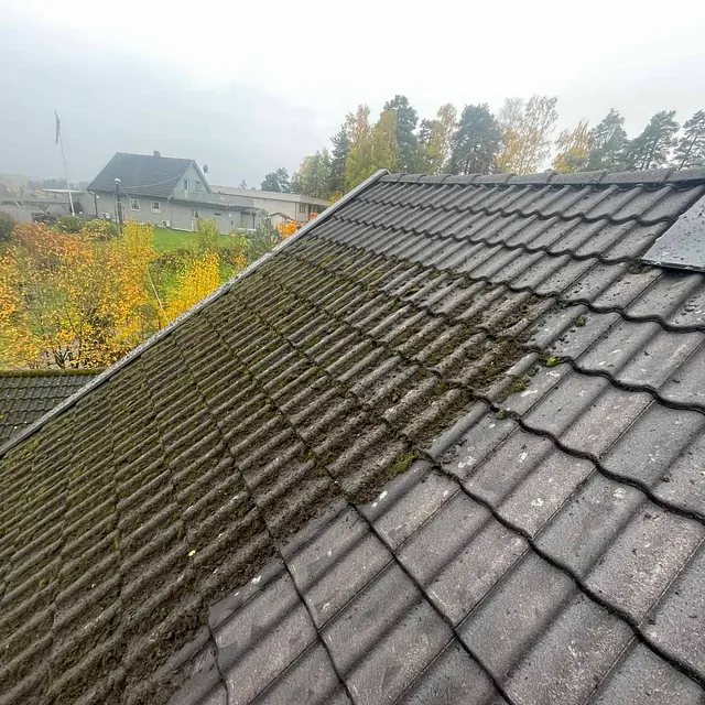 Mosegrodd takstein på hus under overskyet himmel, med naboens hus og trær i bakgrunnen.