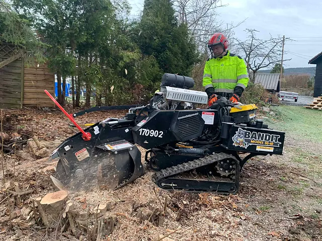 Arbeider bruker stubbe­freser for å fjerne en trestubbe i hage nær skog.